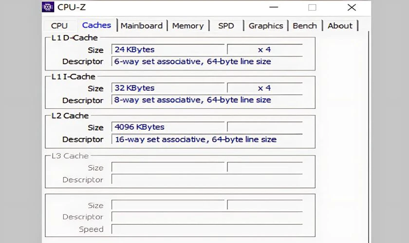 Tab Caches: Cung cấp th&ocirc;ng tin về bộ nhớ đệm
