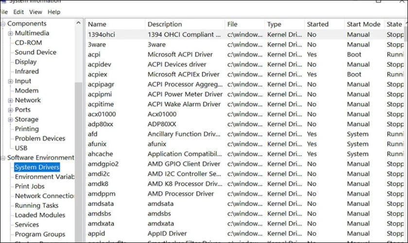 Software Environments: Hiển thị dữ liệu về phần mềm đang chạy
