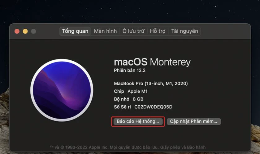 Tại cửa sổ mới bạn chọn Báo cáo hệ thống (System report)