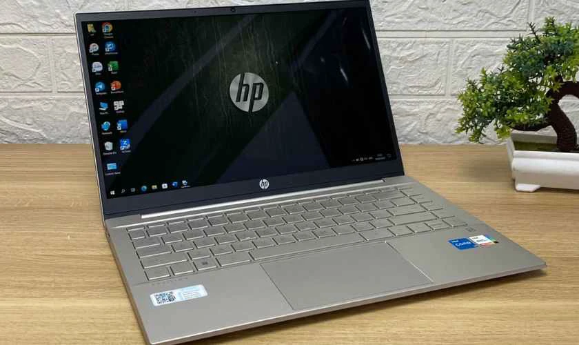 Laptop cho sinh vi&ecirc;n quản trị kinh doanh