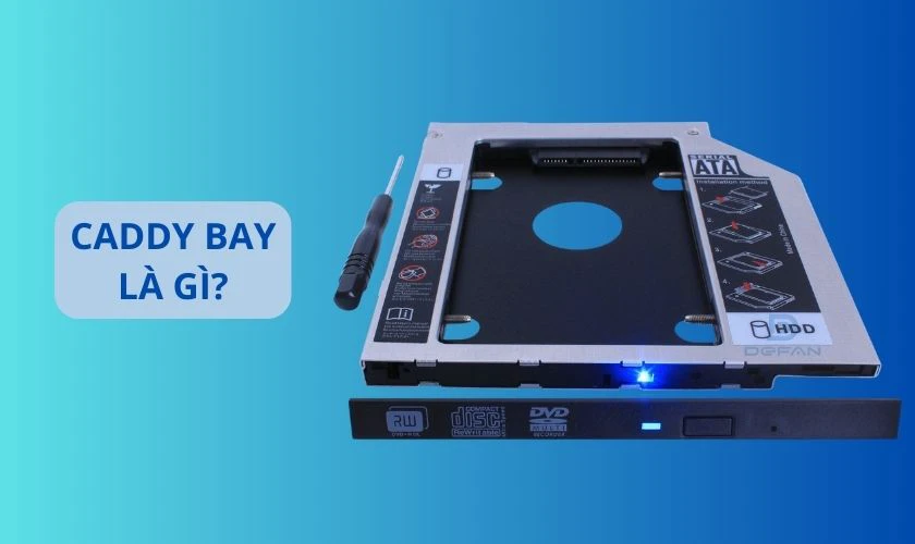 Caddy Bay l&agrave; g&igrave; v&agrave; c&aacute;ch chọn Caddy Bay như thế n&agrave;o?