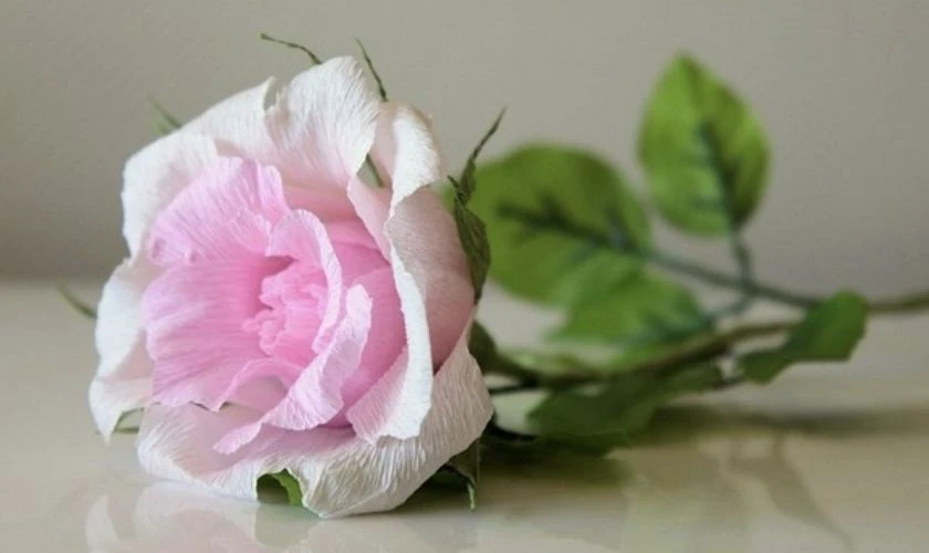 Bó hoa hồng giấy làm quà handmade 20/10.