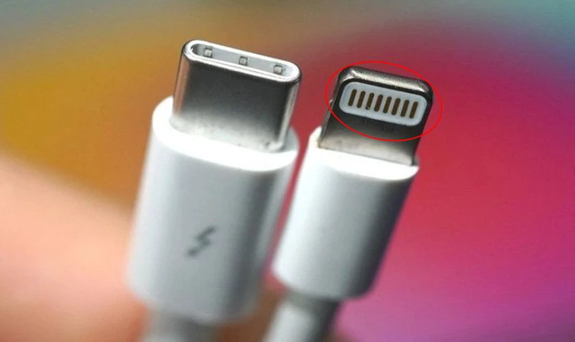 Cấu tạo v&agrave; những điểm đặc trưng của cổng Lightning
