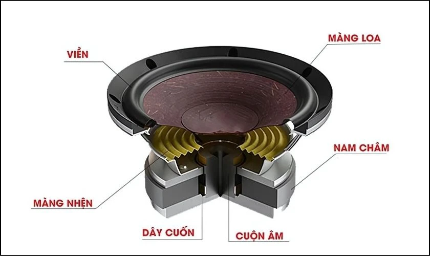 Cấu tạo của loa bass
