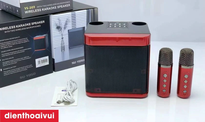 Loa Karaoke cũ