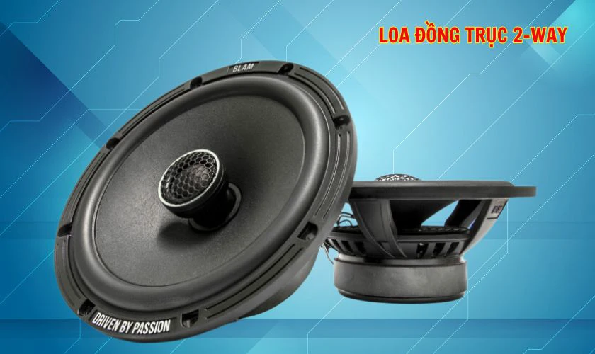 Loa đồng trục 2-way
