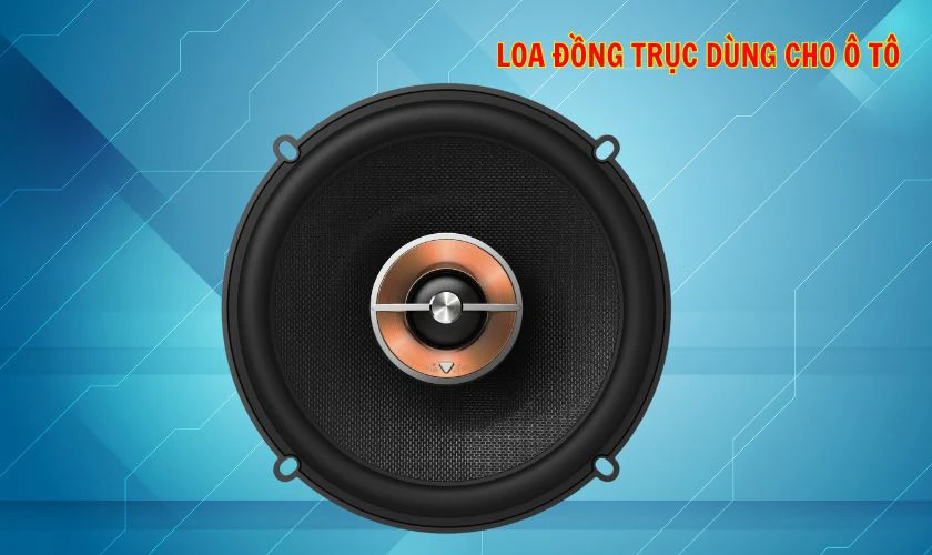 Loa sử dụng trong &ocirc; t&ocirc;