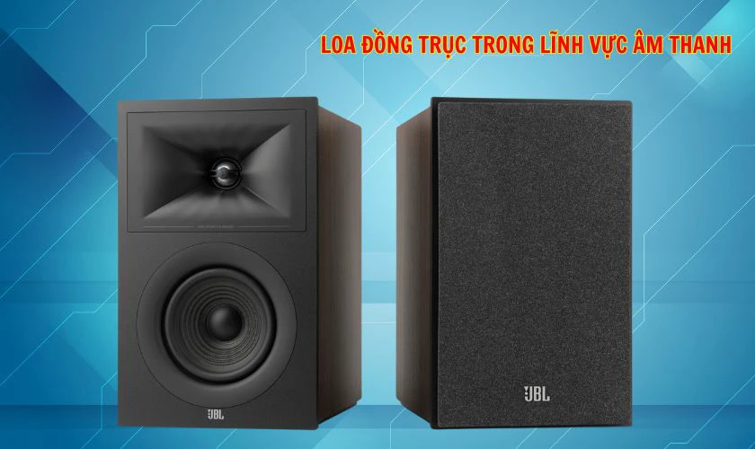 Loa sử dụng trong lĩnh vực &acirc;m thanh