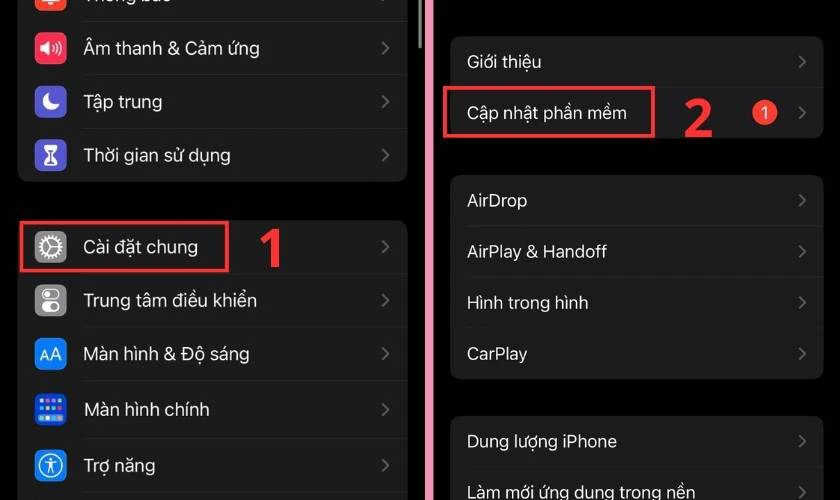 Chọn mục Cập nhật phần mềm trong C&agrave;i đặt chung