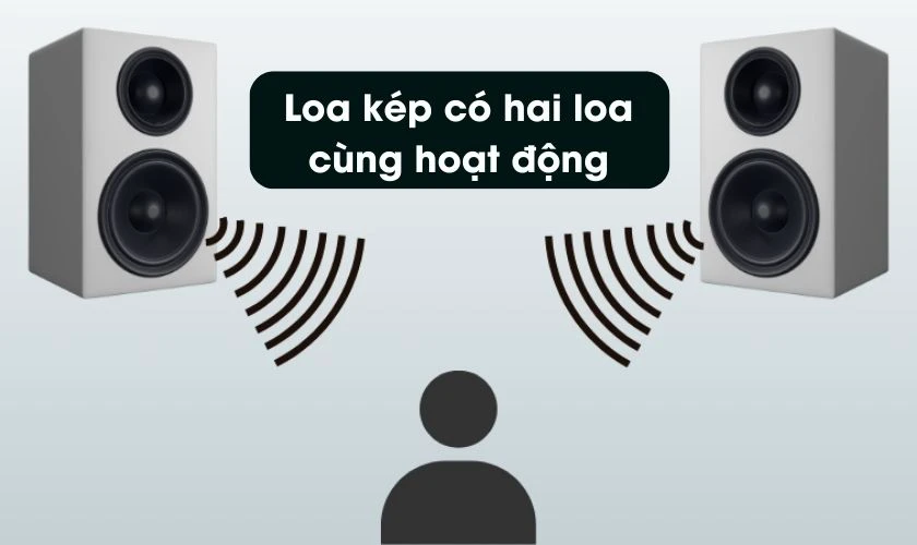 Loa k&eacute;p l&agrave; g&igrave;?
