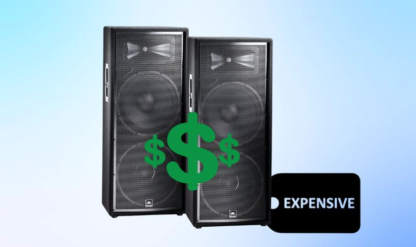 C&acirc;n nhắc về chi ph&iacute; v&agrave; kh&ocirc;ng gian khi mua loa k&eacute;p