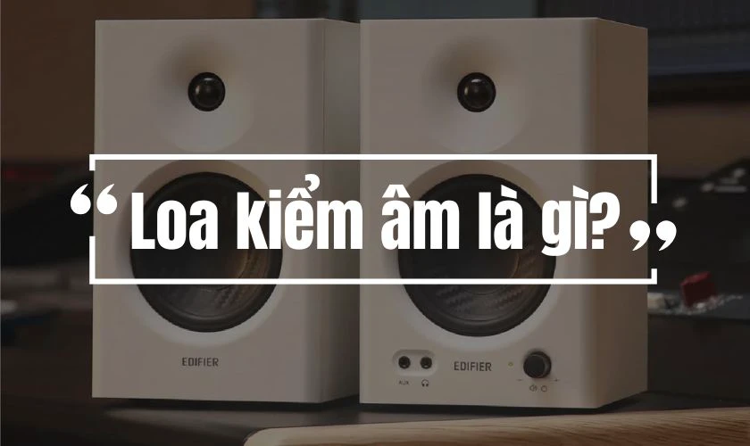 Loa kiểm &acirc;m l&agrave; g&igrave;?