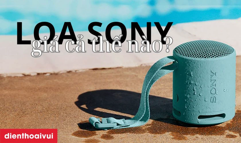Gi&aacute; của loa Sony như thế n&agrave;o?&nbsp;