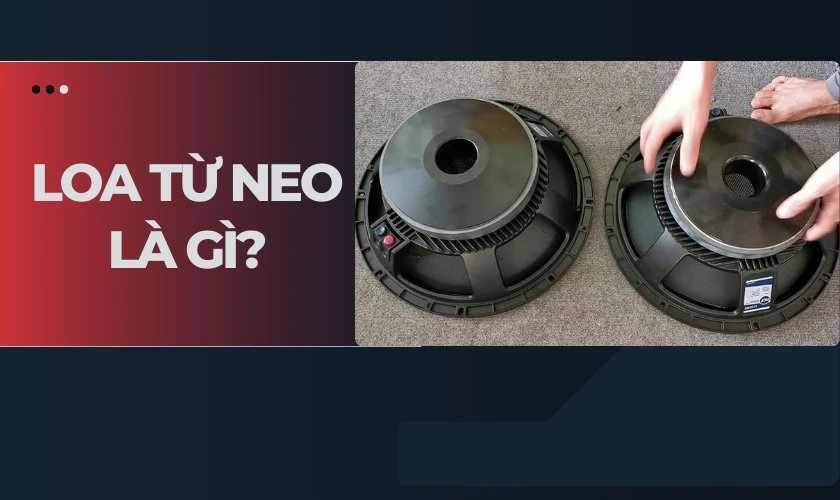 Loa từ Neo là gì