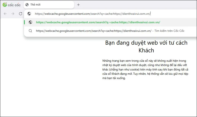 Đọc nội dung trang web từ bộ nhớ cache của Google