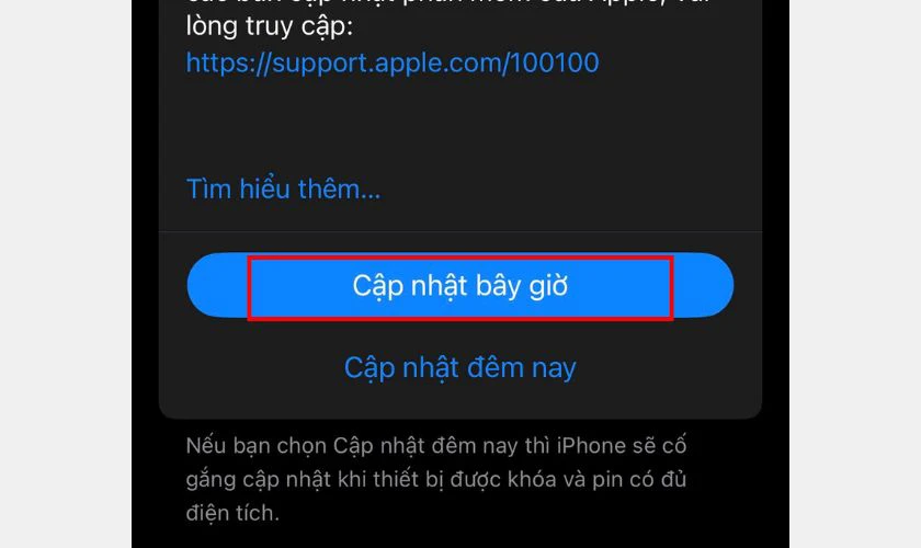 Nếu c&oacute; bản cập nhật, chọn Cập nhật b&acirc;y giờ