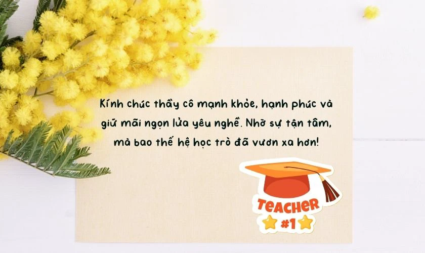 Lời cảm ơn thầy cô 20/11 hay, ý nghĩa