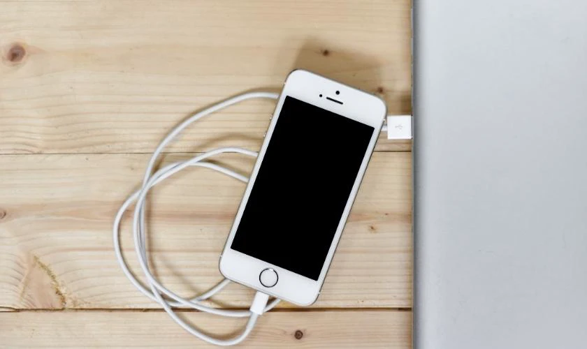 Đưa về DFU bằng n&uacute;t home vật l&yacute; khi bị lỗi camera iPhone bị đen