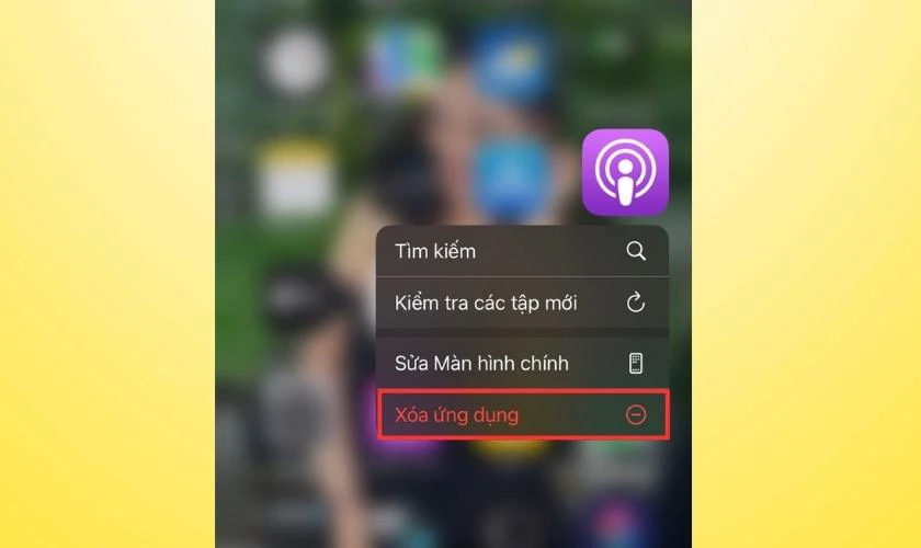 Khắc phục lỗi camera iPhone bị đen bằng c&aacute;ch x&oacute;a app g&acirc;y xung đột