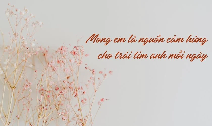 Lời chúc 8/3 tặng vợ, người yêu, bạn gái