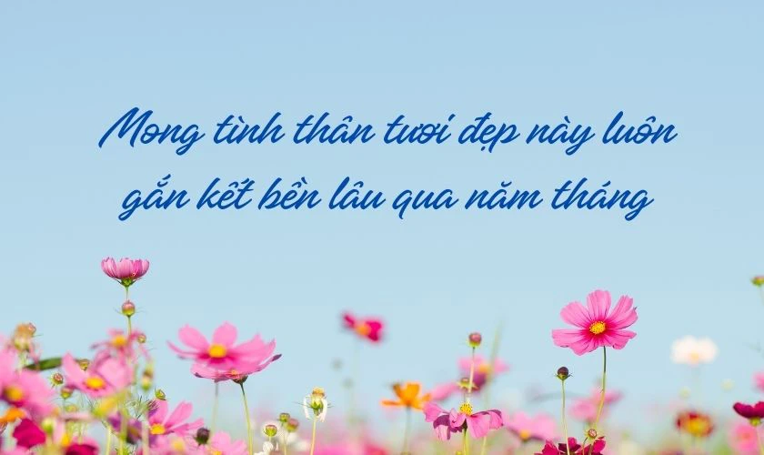 Lời chúc 8/3 tặng chị, em gái
