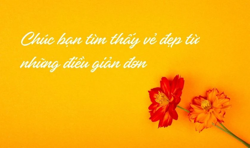 Hình ảnh câu chúc mừng 8/3 đẹp