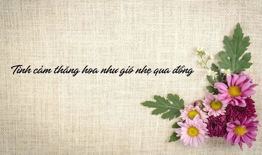 Hình ảnh câu chúc mừng ngày 8/3 đẹp