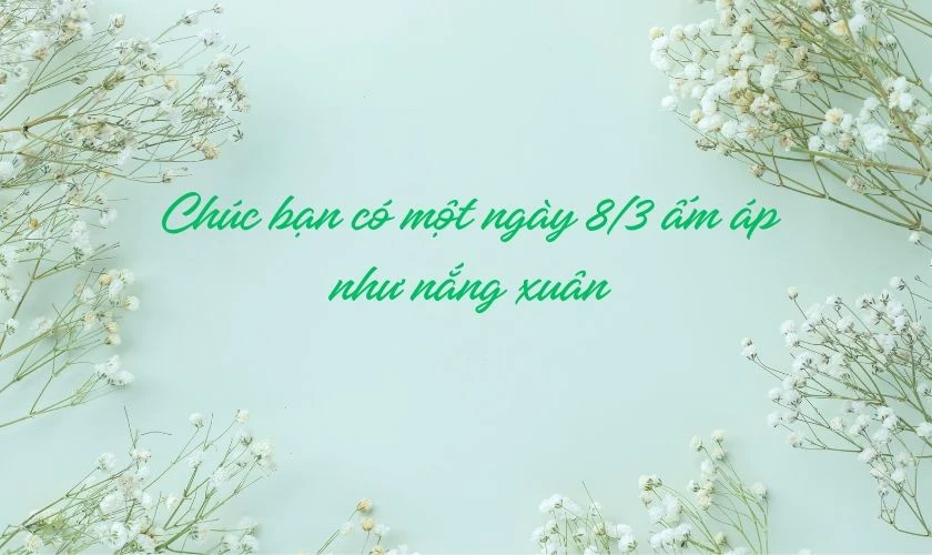 Lời chúc 8/3 hay, ấm áp, ngọt ngào
