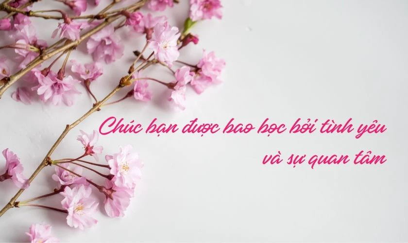 Lời chúc 8/3 cho một nửa thế giới