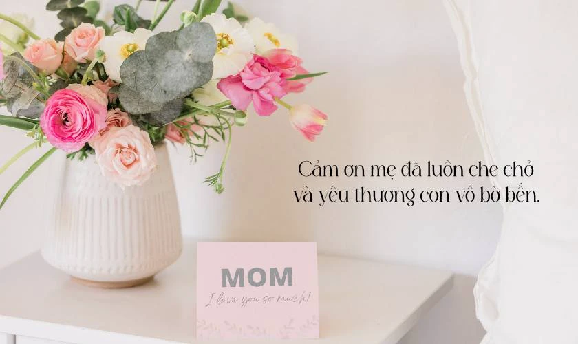 Lời chúc cho ngày của mẹ tình cảm
