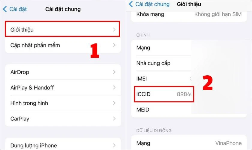 Chọn Giới thiệu, t&igrave;m v&agrave; ghi lại th&ocirc;ng tin ICCID