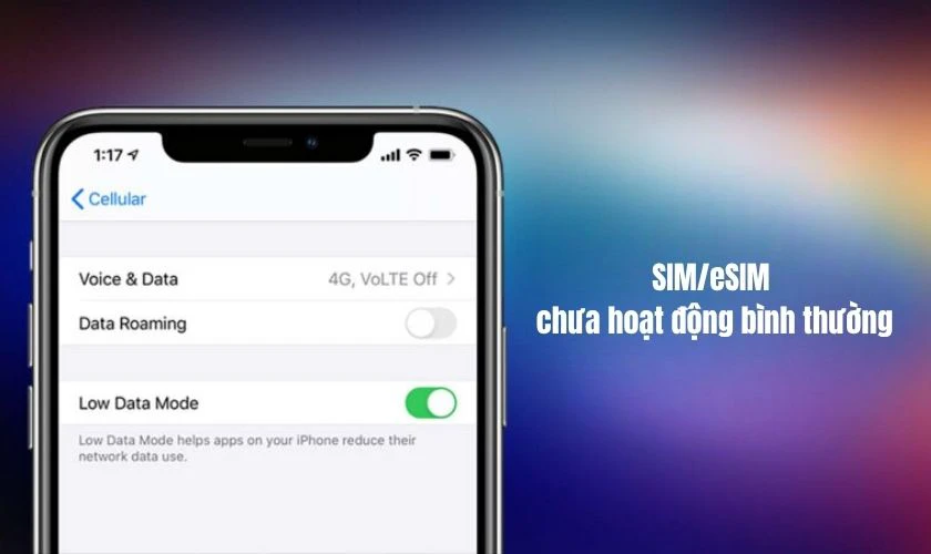 Nguyên nhân lỗi không thể xác minh số điện thoại trên iPhone