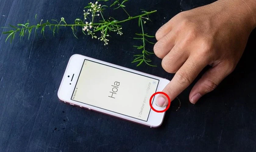 Khởi động lại với iPhone SE Gen 1 và iPhone 5 trở xuống