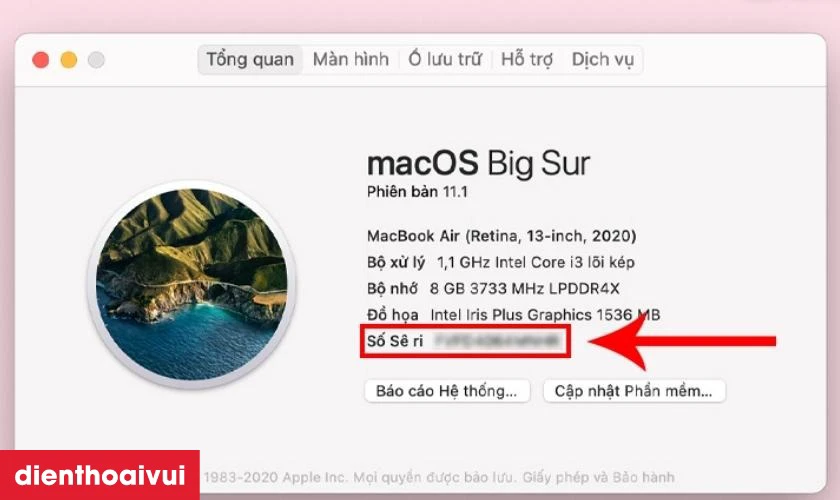 Copy mã số seri của Macbook
