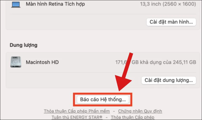 Nhấp v&agrave;o Tổng quan, sau đ&oacute; chọn B&aacute;o c&aacute;o hệ thống
