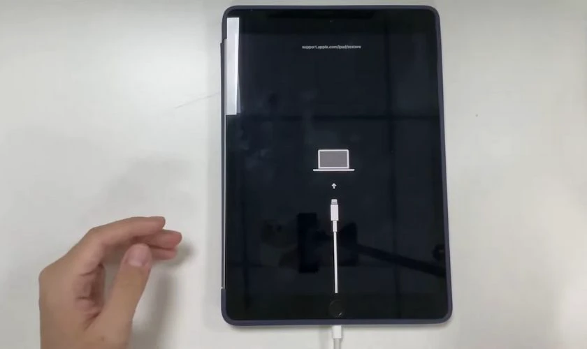 Restore bằng ph&iacute;m cứng khi bị lỗi m&agrave;n h&igrave;nh iPad Air 2 bị nh&ograve;e m&agrave;u