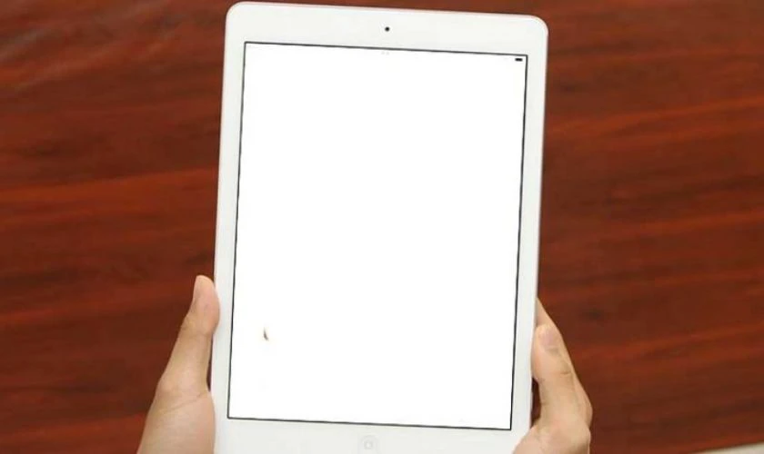 Dấu hiệu nhận biết lỗi m&agrave;n h&igrave;nh iPad Air 2 bị nh&ograve;e m&agrave;u