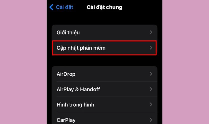 Chọn Cập nhật phần mềm để khắc phục lỗi lưu ảnh