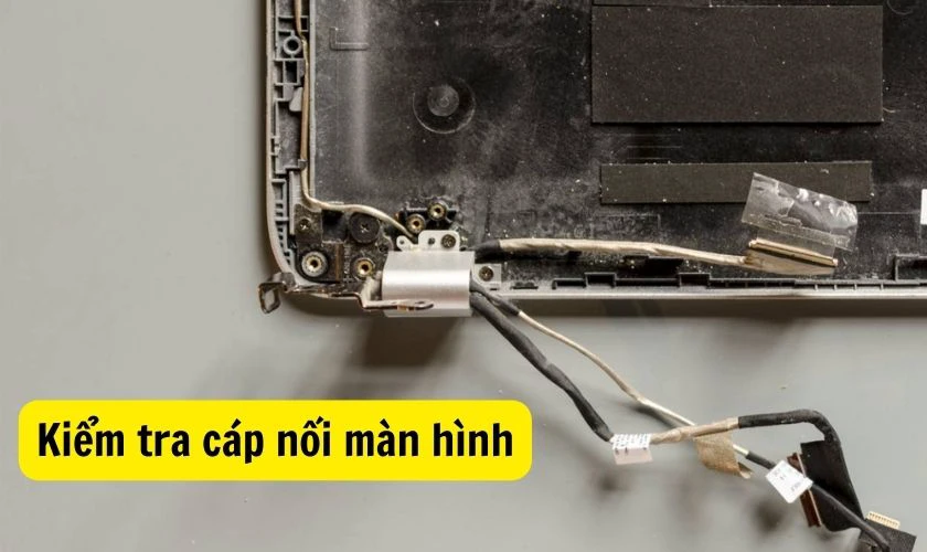 Kiểm tra c&aacute;p nối m&agrave;n h&igrave;nh laptop