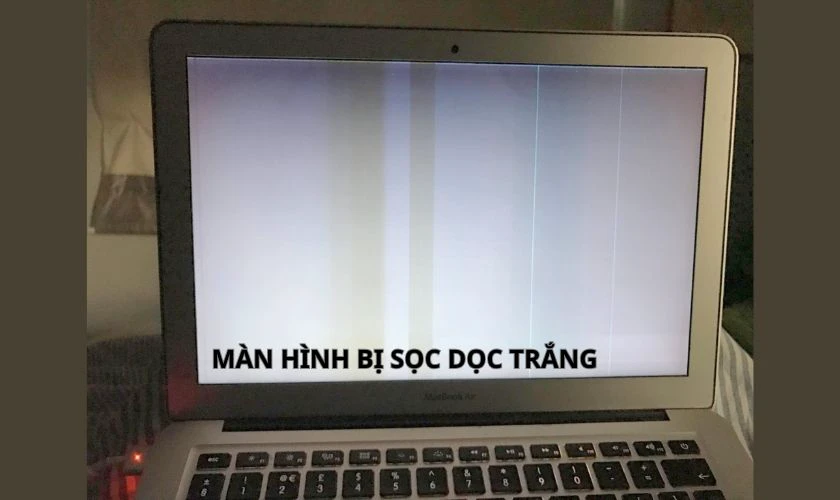 Màn hình laptop bị sọc dọc màu trắng