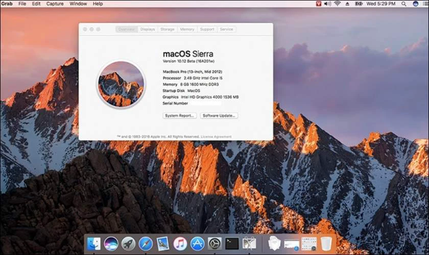 M&agrave;n h&igrave;nh Macbook bị &aacute;m hồng l&agrave; g&igrave;?