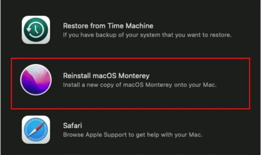 Chọn Reinstall MacOS Monterey