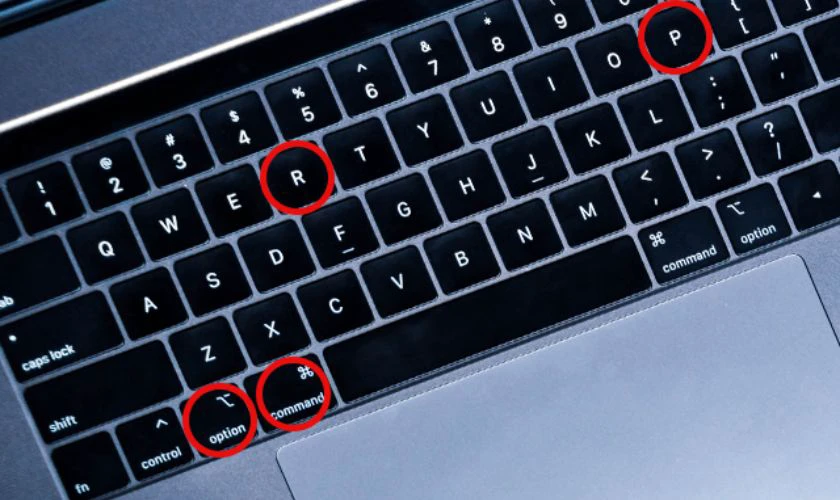 Nhấn và giữ các phím Option + Command + P + R
