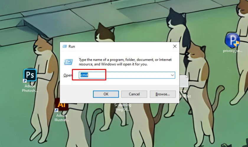 Khắc phục lỗi Limited Access trên Wifi