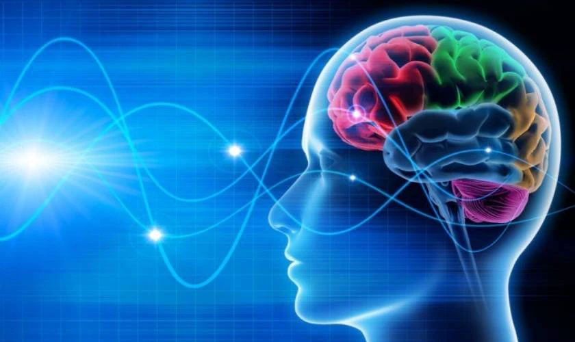 Sóng não và tần số trong luật hấp dẫn Manifest là gì?