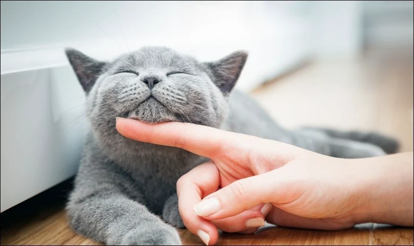 C&aacute;ch đặt mật khẩu c&oacute; 6 k&yacute; tự bằng m&ocirc; tả những điều xung quanh bạn