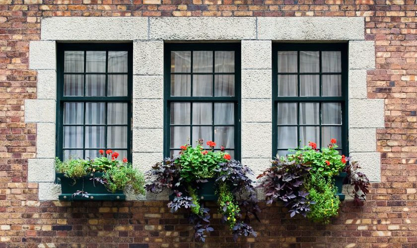 C&aacute;c đường thẳng dẫn lối - Mẹo chụp ảnh đẹp bằng điện thoại