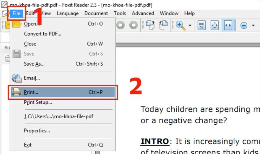 Nhấp vào File, sau đó chọn Print