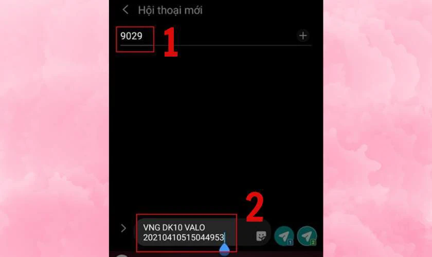 C&uacute; ph&aacute;p tin nhắn SMS đến tổng đ&agrave;i 9029