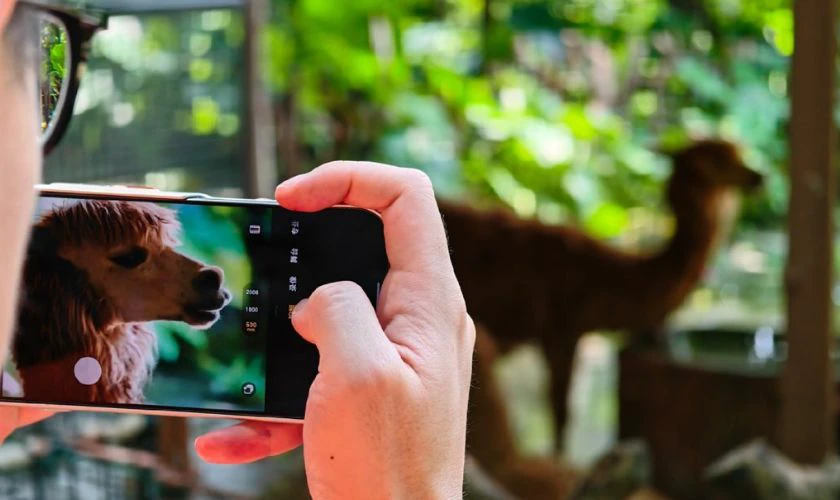 Nếu ưu tiên máy để chụp ảnh, quay video?